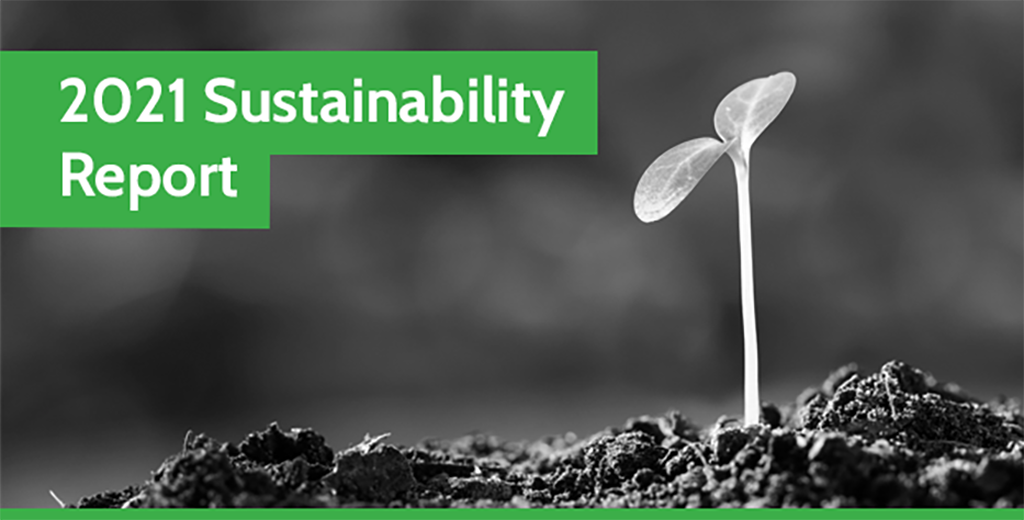 2021 Sustainability Report-new Ein Schwarz-Weiß-Foto eines Pflanzentriebs, der aus der Erde wächst, mit einem grünen Banner am oberen Rand, auf dem "Nachhaltigkeitsbericht 2021" steht.