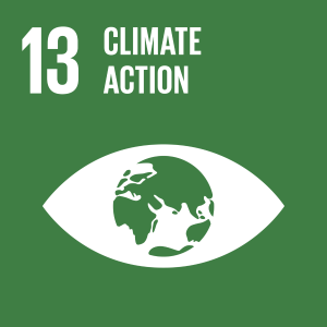 A green square icon with white imagery on it: the number 13 in the top right hand corner, next to the writing 'CLIMATE ACTION' and an outline of the world within an eye shape.