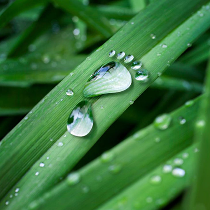 carbon-procurri-1024x682